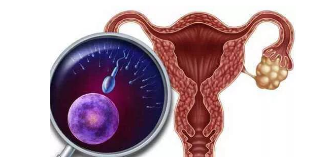 周孕妇未见红、不破水、腹痛的三大因