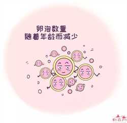 上海供卵代怀生子，孕期哪些行为对胎儿不好