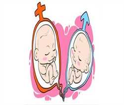 上海借卵子生子中国允许吗，衡阳试管婴儿成功率